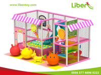 Pink Dream Indoor Playground Equipment For Grils